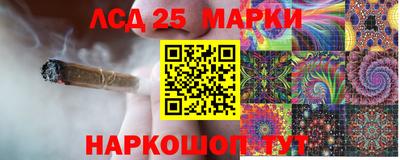 гидропоника Будённовск